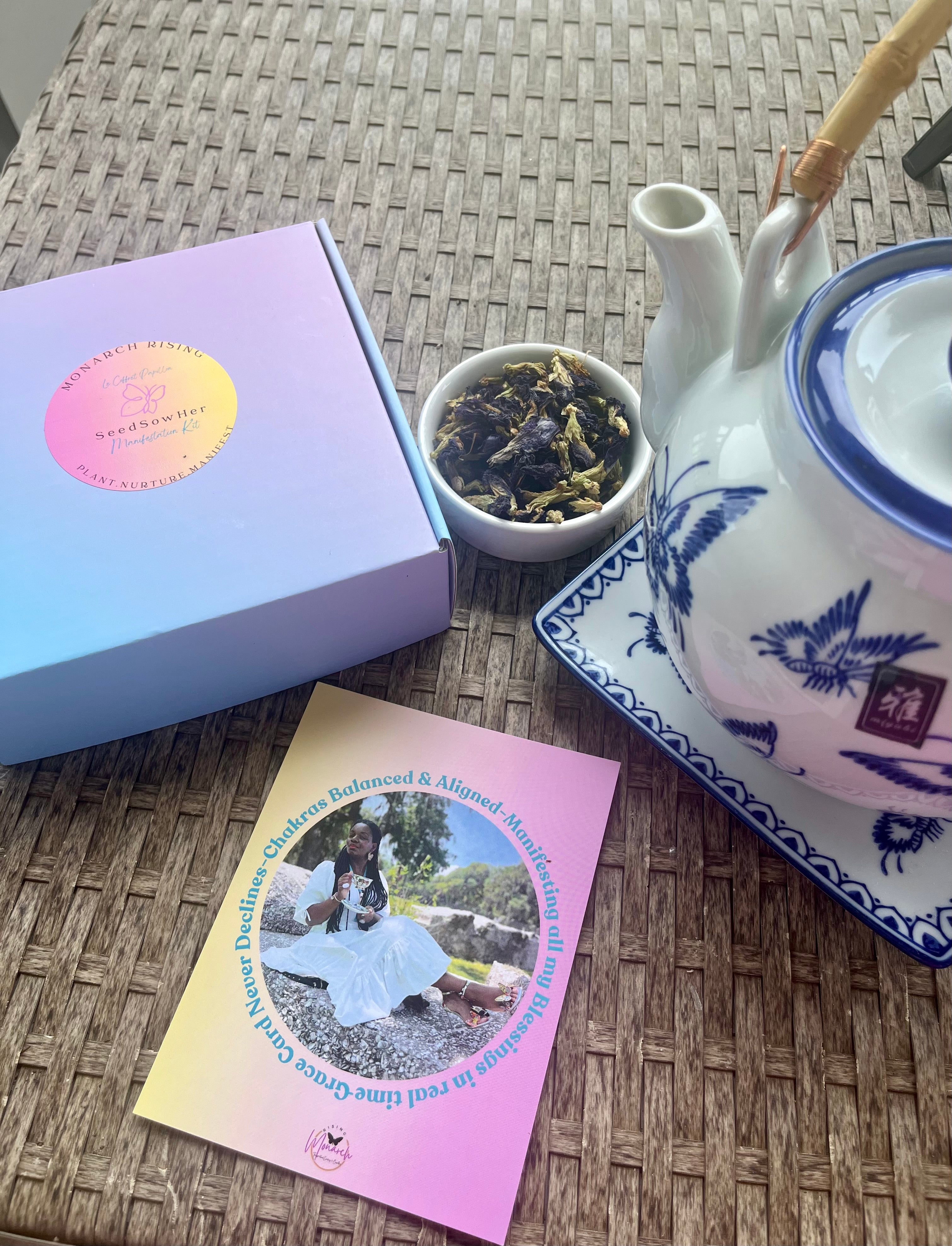 SeedSowHer Manifestation Kit